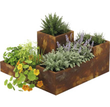 Bacs à plantes aspect rouille de différentes hauteurs, plantés d'herbes aromatiques, de capucines et de lavande.