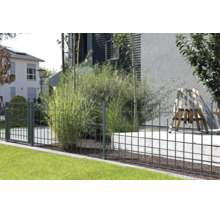 Moderner Metallzaun mit Gartentor vor einer Rasenfläche und Ziergräsern, im Hintergrund ein Wohnhaus mit Terrasse.