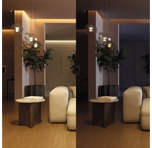 Salon moderne avec suspensions en verre, plante, table basse et canapé, illustré en lumière vive et tamisée.