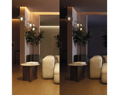 Salon moderne avec suspensions en verre, plante, table basse et canapé, illustré en lumière vive et tamisée.
