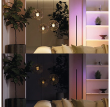 Salon avec suspensions intelligentes en verre, rubans LED dans l'étagère et plantes d'intérieur sous deux ambiances lumineuses.