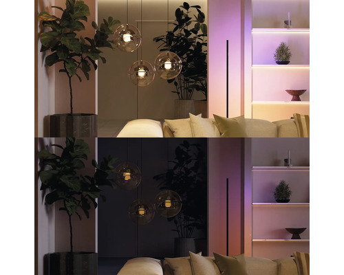 Salon avec suspensions intelligentes en verre, rubans LED dans l'étagère et plantes d'intérieur sous deux ambiances lumineuses.