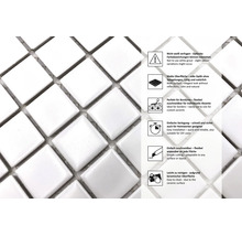 Mosaïque céramique mate. Instructions : ne pas jointoyer en blanc, aspect mat, découpable, pose facile, nettoyage facile.