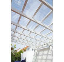 Terrassenüberdachung mit weisser Holzkonstruktion und transparenten Wellplatten unter blauem Himmel.