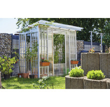 Helles, organisiertes Gartenbild mit einem Gewächshaus aus Metall und transparenten Platten, Tomatenpflanzen sowie einer Gabionenwand im Hintergrund.