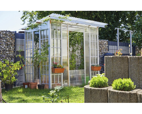 Helles, organisiertes Gartenbild mit einem Gewächshaus aus Metall und transparenten Platten, Tomatenpflanzen sowie einer Gabionenwand im Hintergrund.
