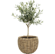 Panier à plantes fibre naturelle Ø 50 cm h 40 cm gris marron