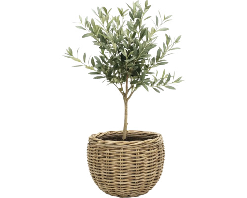 Panier à plantes fibre naturelle Ø 50 cm h 40 cm gris marron