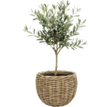 Panier à plantes fibre naturelle Ø 40 cm h 30 cm gris marron
