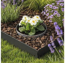 Bordure de jardin en métal noir et anneau de plantation argenté dans un parterre de fleurs rempli de paillis d'écorce à côté d'une pelouse.