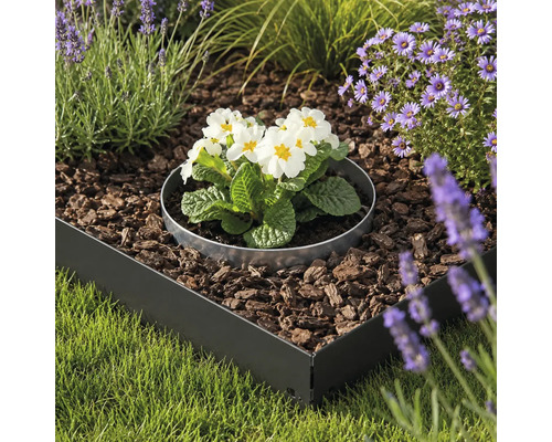 Bordure de jardin en métal noir et anneau de plantation argenté dans un parterre de fleurs rempli de paillis d'écorce à côté d'une pelouse.
