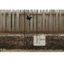 Treillis métallique noir avec papillon, enfoncé de 20 centimètres dans le sol devant une clôture en bois.