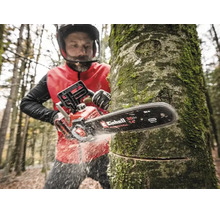 Personne sciant un tronc d'arbre en forêt avec une tronçonneuse sans fil Einhell, longueur de guide 35 centimètres.