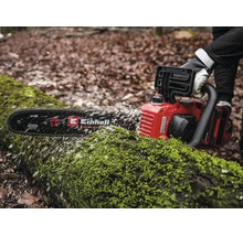 Tronçonneuse Einhell sciant un tronc couvert de mousse dans la forêt, copeaux de bois, longueur de guide 35 centimètres.
