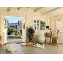 Eingerichtetes Gartenhaus aus Holz als Fitnessraum mit Yogamatte, Gymnastikball und Heimtrainer, Blick in den Garten.