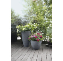 Zwei graue Pflanzkübel mit Rillenstruktur, bepflanzt mit Blumen auf einer Holzterrasse im Garten.
