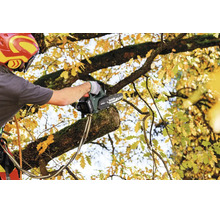 Baumpfleger bei der Arbeit mit einer Metabo Akku Astkettensäge in einem Baum mit gelben Herbstblättern.