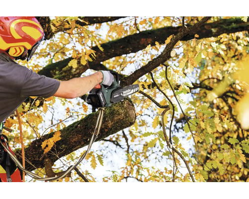 Baumpfleger bei der Arbeit mit einer Metabo Akku Astkettensäge in einem Baum mit gelben Herbstblättern.
