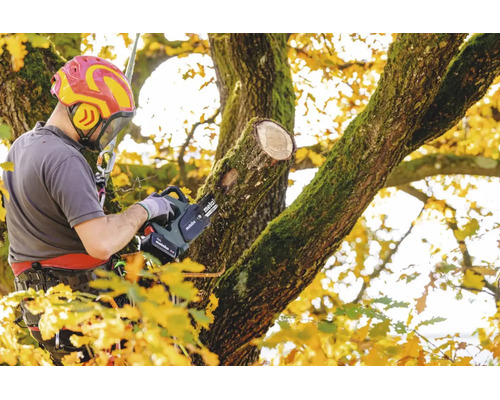 Baumpfleger bei der Arbeit mit einer Metabo Akku Kettensäge in einem Baum mit gelbem Herbstlaub.