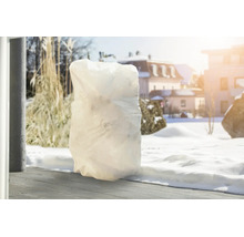 Eine Pflanzenschutzhaube aus Vlies schützt eine Pflanze im Winter auf einer Terrasse vor Frost und Kälte.
