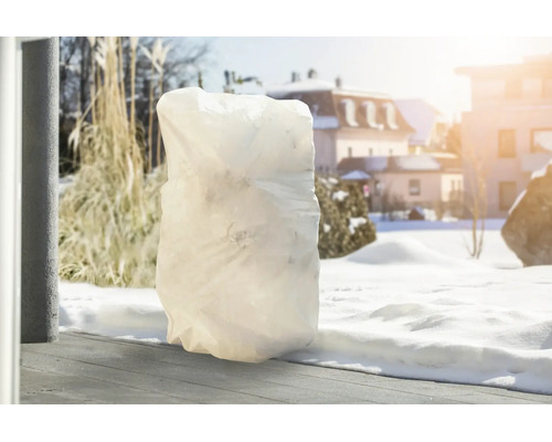 Eine Pflanzenschutzhaube aus Vlies schützt eine Pflanze im Winter auf einer Terrasse vor Frost und Kälte.