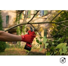 Eine Person benutzt eine elektrische Felco Akku Gartenschere zum Schneiden von Ästen in einem Garten. (Image AI modified or generated)