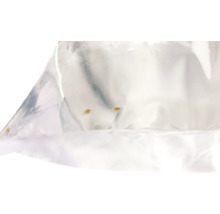 Artemias vivants dans un sac de transport transparent