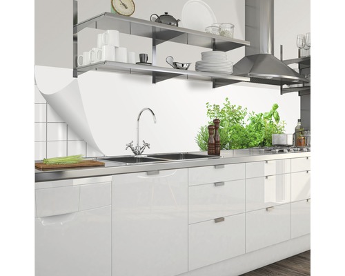 Scène de cuisine avec évier, robinet, herbes et étagères