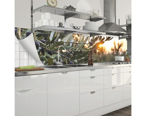 Küchenrückwand mit Olivenzweig Motiv in einer modernen Küche