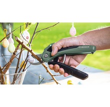 Eine Hand benutzt eine Bosch EasyPrune Gartenschere, um einen Zweig zu schneiden. Dekorative Ostereier hängen an den Zweigen.