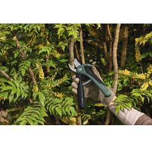 Eine Person schneidet mit einer Akku-Gartenschere einen Busch.