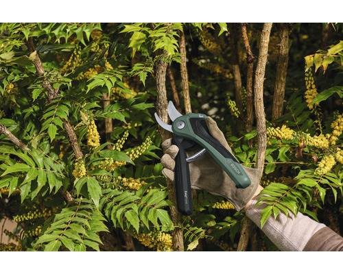 Eine Person schneidet mit einer Akku-Gartenschere einen Busch.