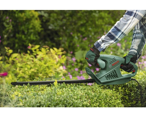 Person schneidet Hecke mit Bosch Heckenschere