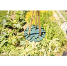 Support de bâton en bambou utilisé dans le jardin pour soutenir les plantes