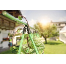 Support à plantes dans le jardin avec plantes grimpantes