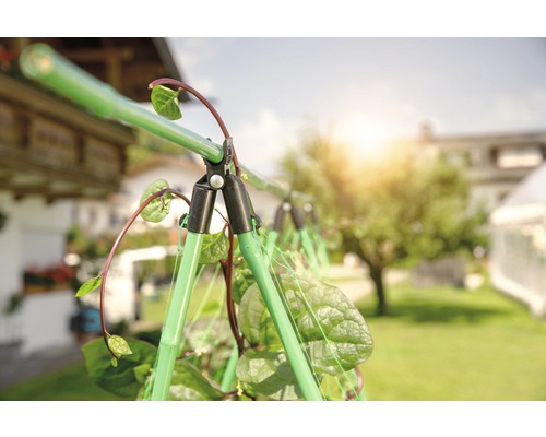 Support à plantes dans le jardin avec plantes grimpantes