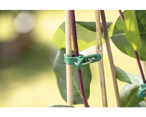 Attache pour plantes pour fixation sur tuteurs