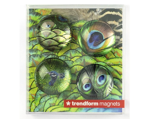 Set de quatre aimants avec motifs de plumes de paon