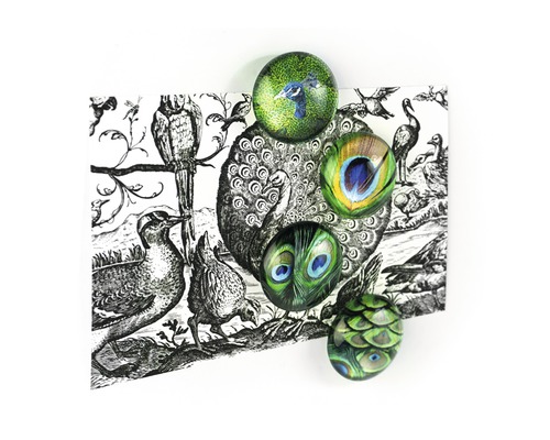 Pierres décoratives en verre avec des motifs d''oiseaux sur une illustration d''oiseau