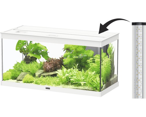 Aquarium blanc avec plantation et lampe LED