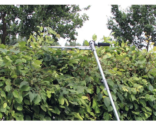 Teleskop Heckenschere im Einsatz zum Schneiden einer Hecke