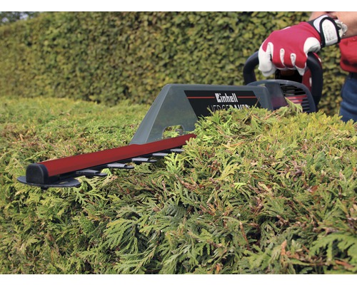 Taille-haie Einhell en cours d''utilisation pour tailler une haie.