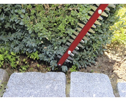 Taille-haie coupant une haie près d''un chemin de pierres