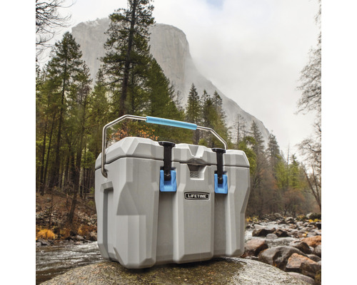 Graue Kühlbox mit Tragegriff vor Naturkulisse