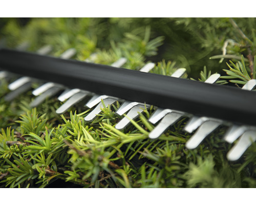 Gros plan des lames d''un taille-haie coupant des haies