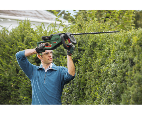 Mann schneidet Hecke mit Akku Heckenschere