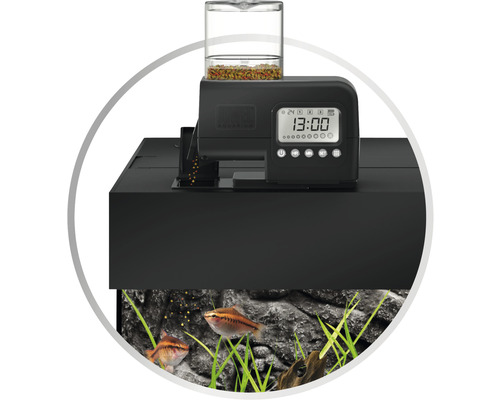 Aquarium avec distributeur automatique pour l''alimentation automatique des poissons