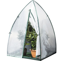 Kleingewächshaus mit Pflanzen