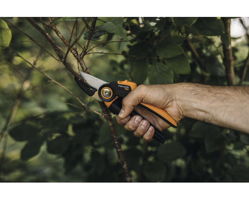 Eine Hand benutzt eine Fiskars Gartenschere zum Beschneiden eines Astes.