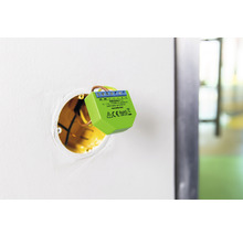 Shelly Dimmer 2 Smart Home Dimmschalter installiert in einer Wanddose